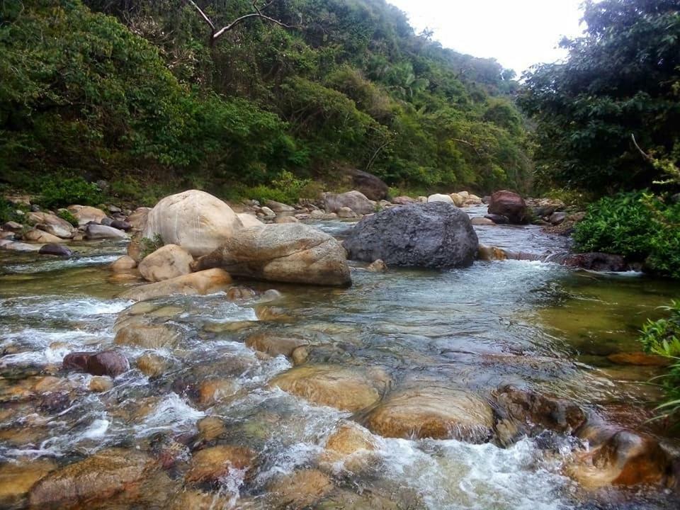 Casa Rio Cuale And River Retreat Puerto Vallarta