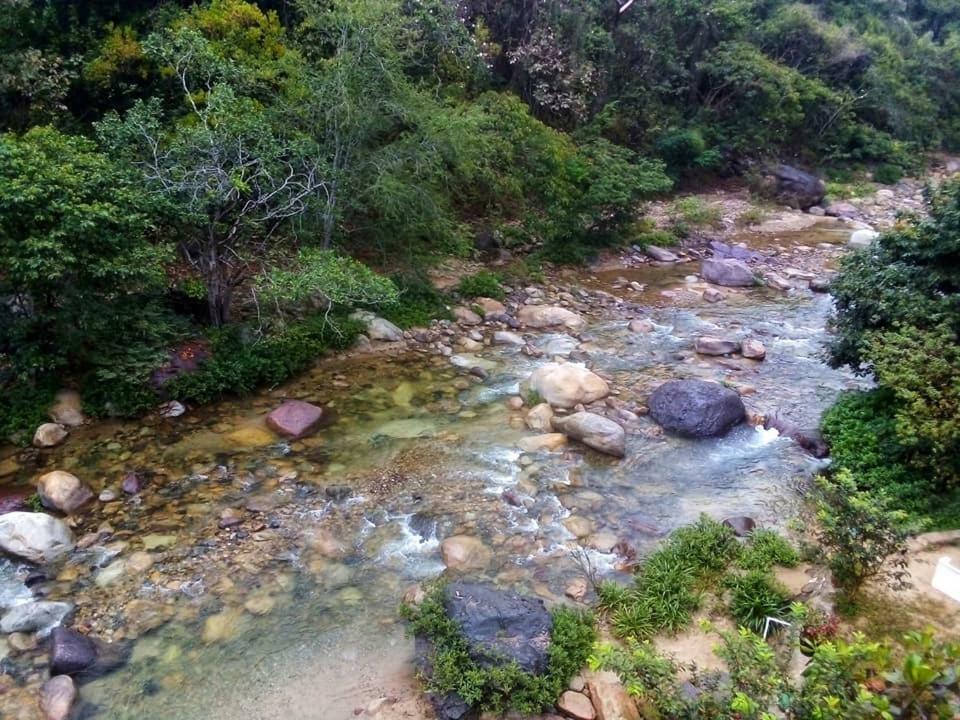 Guest house Casa Rio Cuale And River Retreat