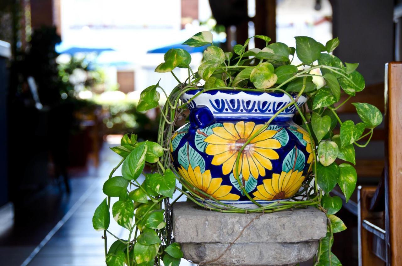 Hacienda Vallarta - Playa Glorias Hotel