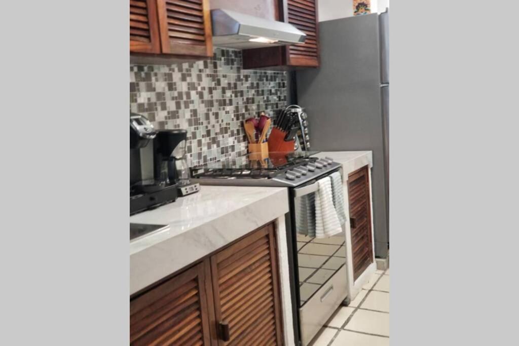 Puerto De Luna Pet Friendly And Family Hotel Puerto Vallarta