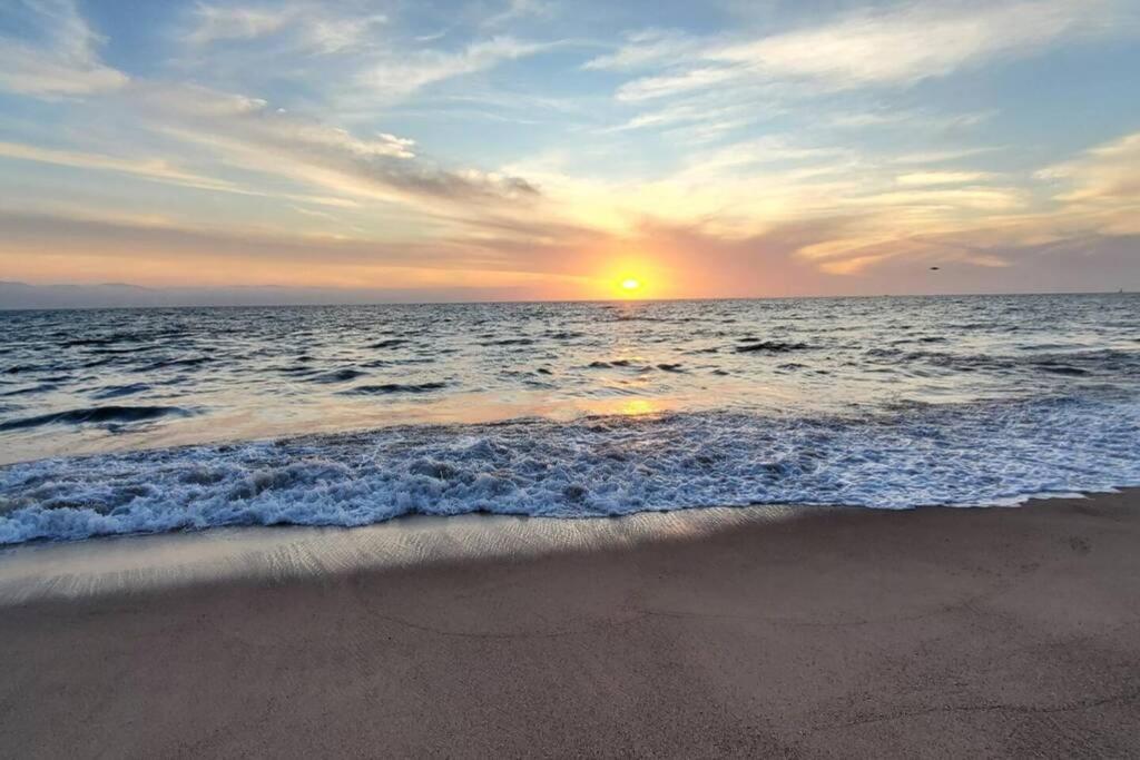 Hotel Puerto De Luna Pet Friendly And Family Puerto Vallarta
