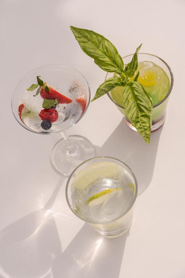 Maxwell Residences At Orchid Hotel Puerto Vallarta