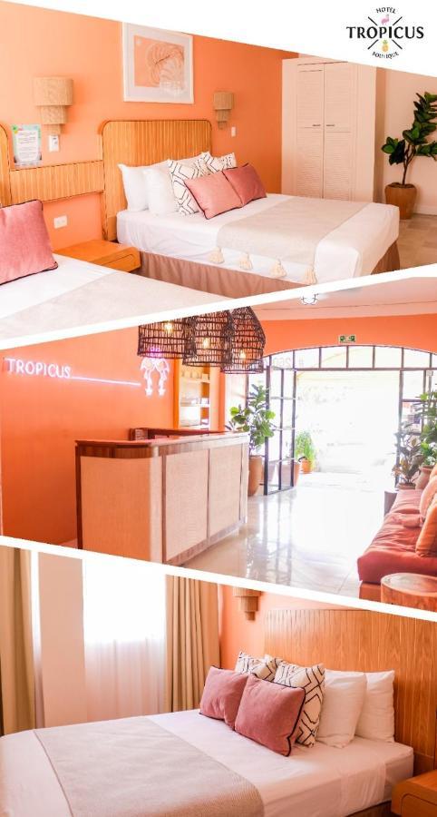 Tropicus Boutique 3*