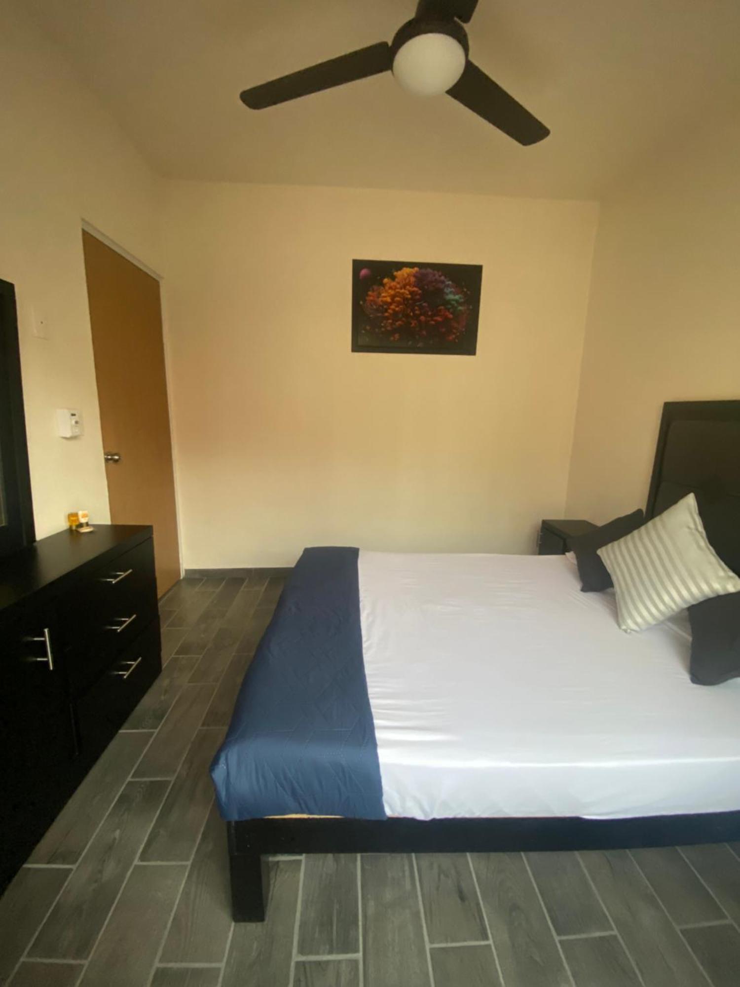 Departamento Ecoface Vallarta