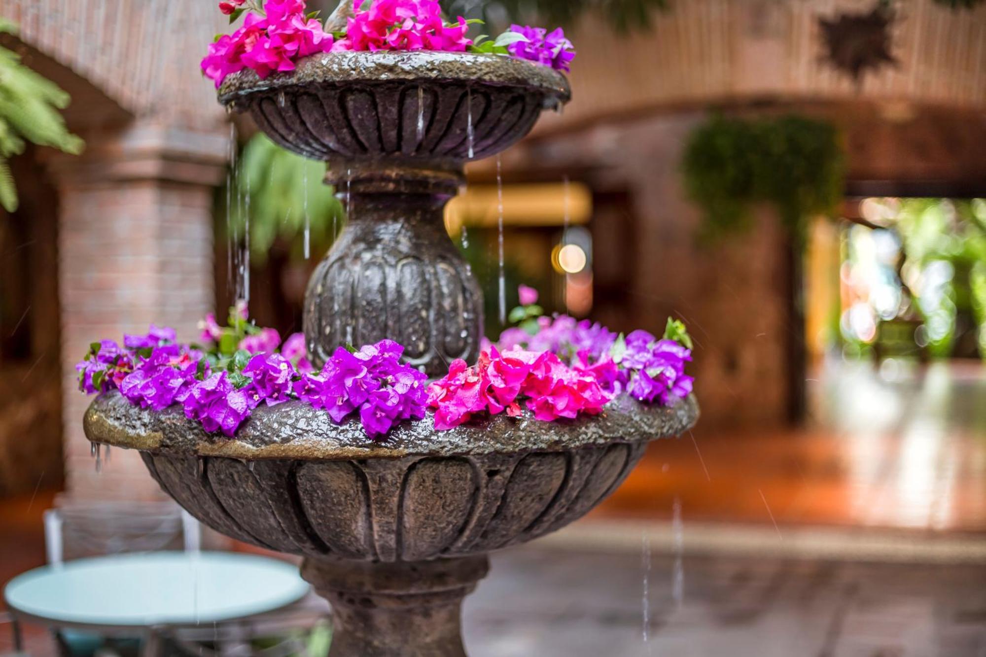 Hacienda Buenaventura & Mexican Charm Puerto Vallarta