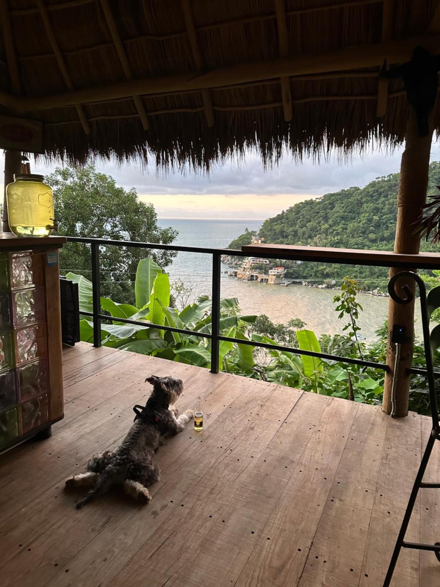 Kainga * Puerto Vallarta