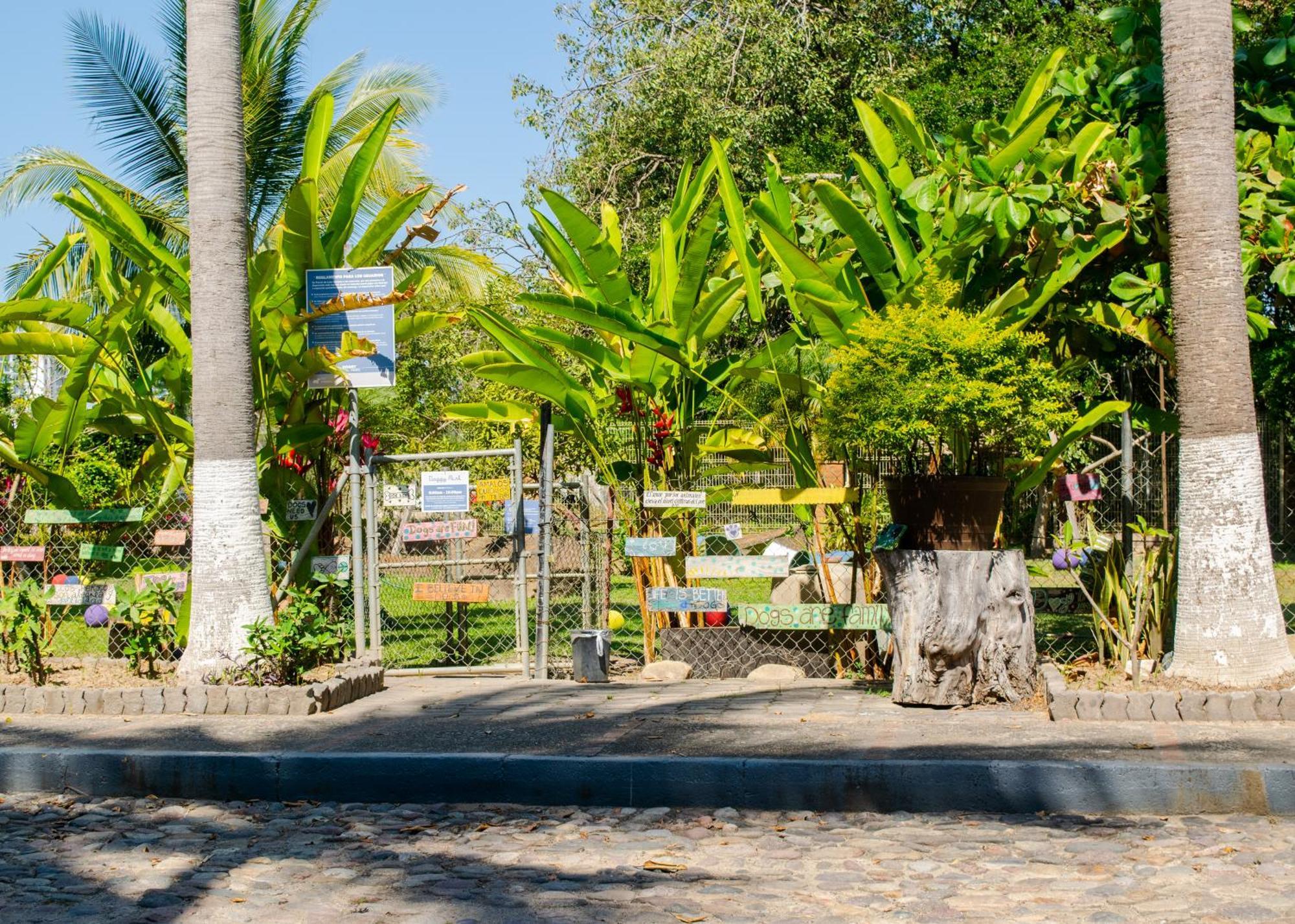 Puerto De Luna Pet Friendly And Family Hotel Puerto Vallarta