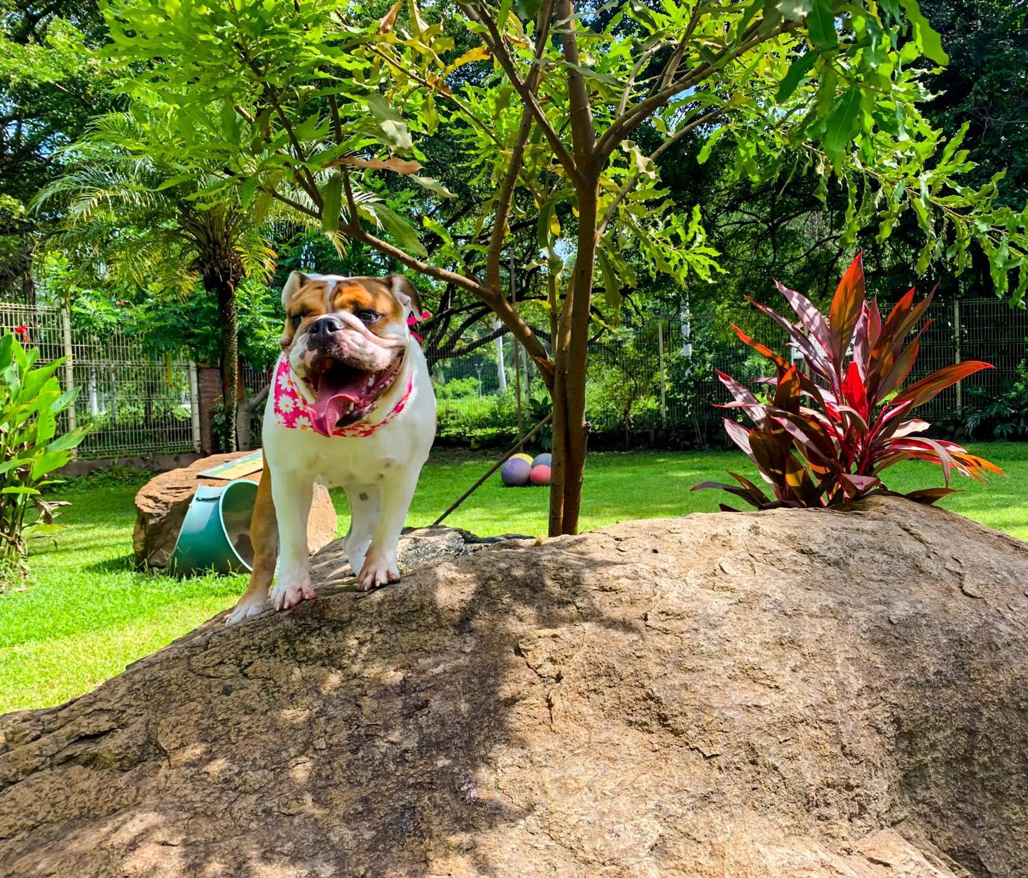 Puerto De Luna Pet Friendly And Family