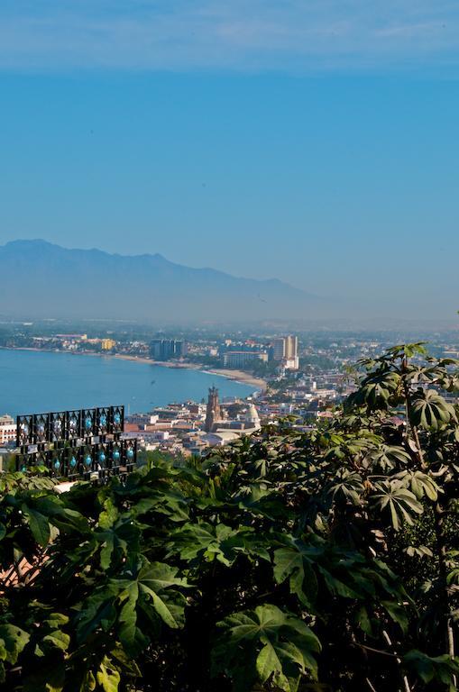 Inn Casa Isabel A Boutique Hilltop Puerto Vallarta