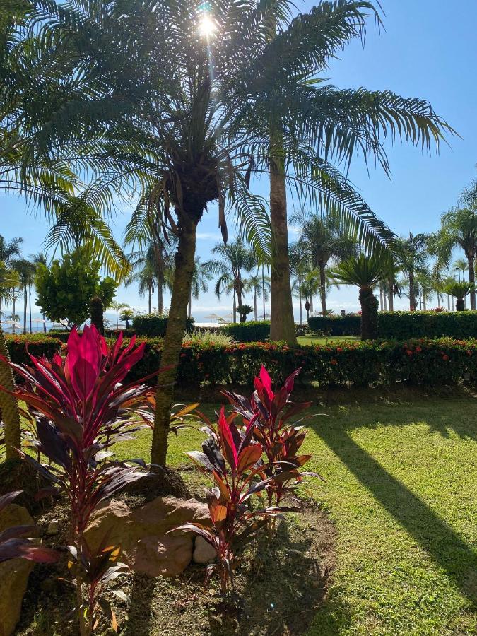 Apartment Paradise Apartment, Private Bay View Grand *
