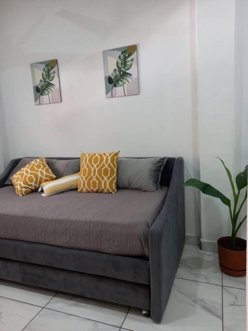 Apartment Apartment, King Beds, Walk Everywhere! *