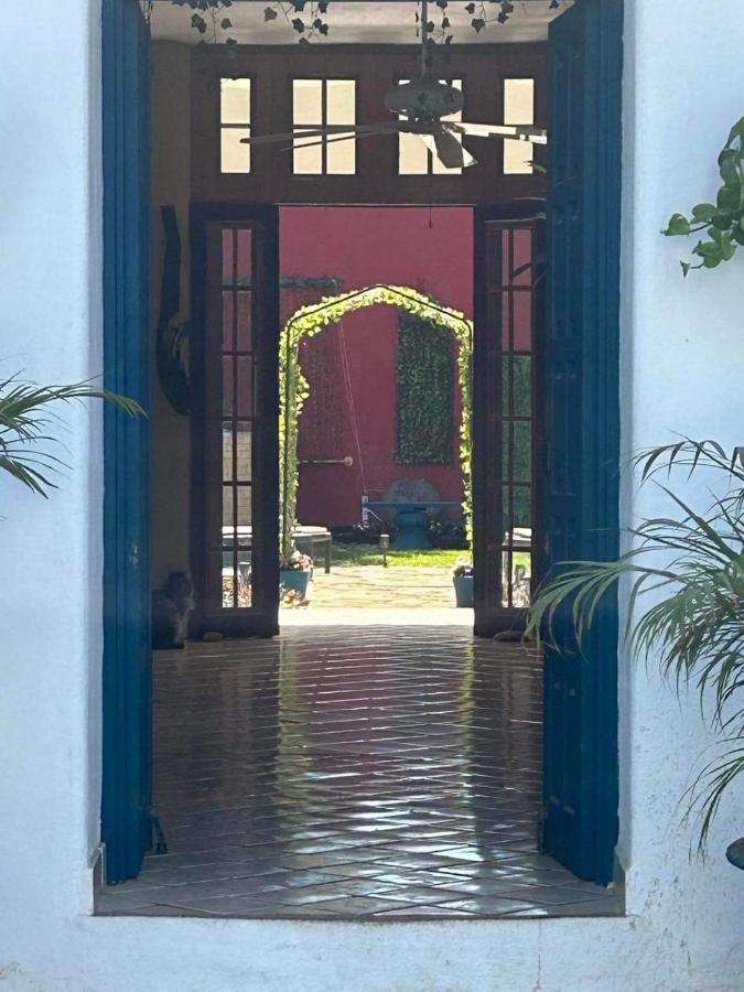 Guest house Oasis