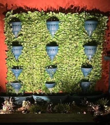 Guest house Oasis Puerto Vallarta