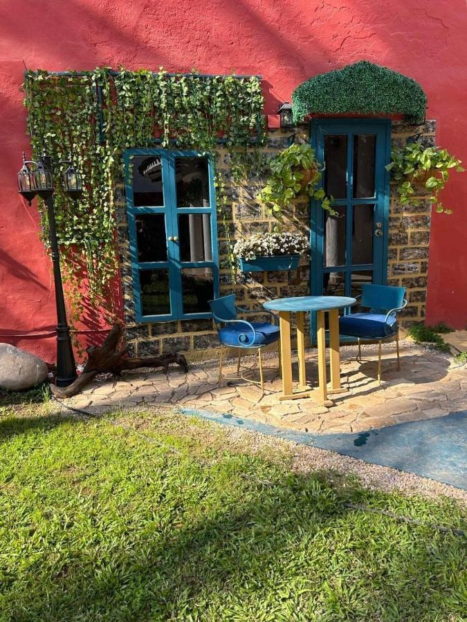 Oasis *