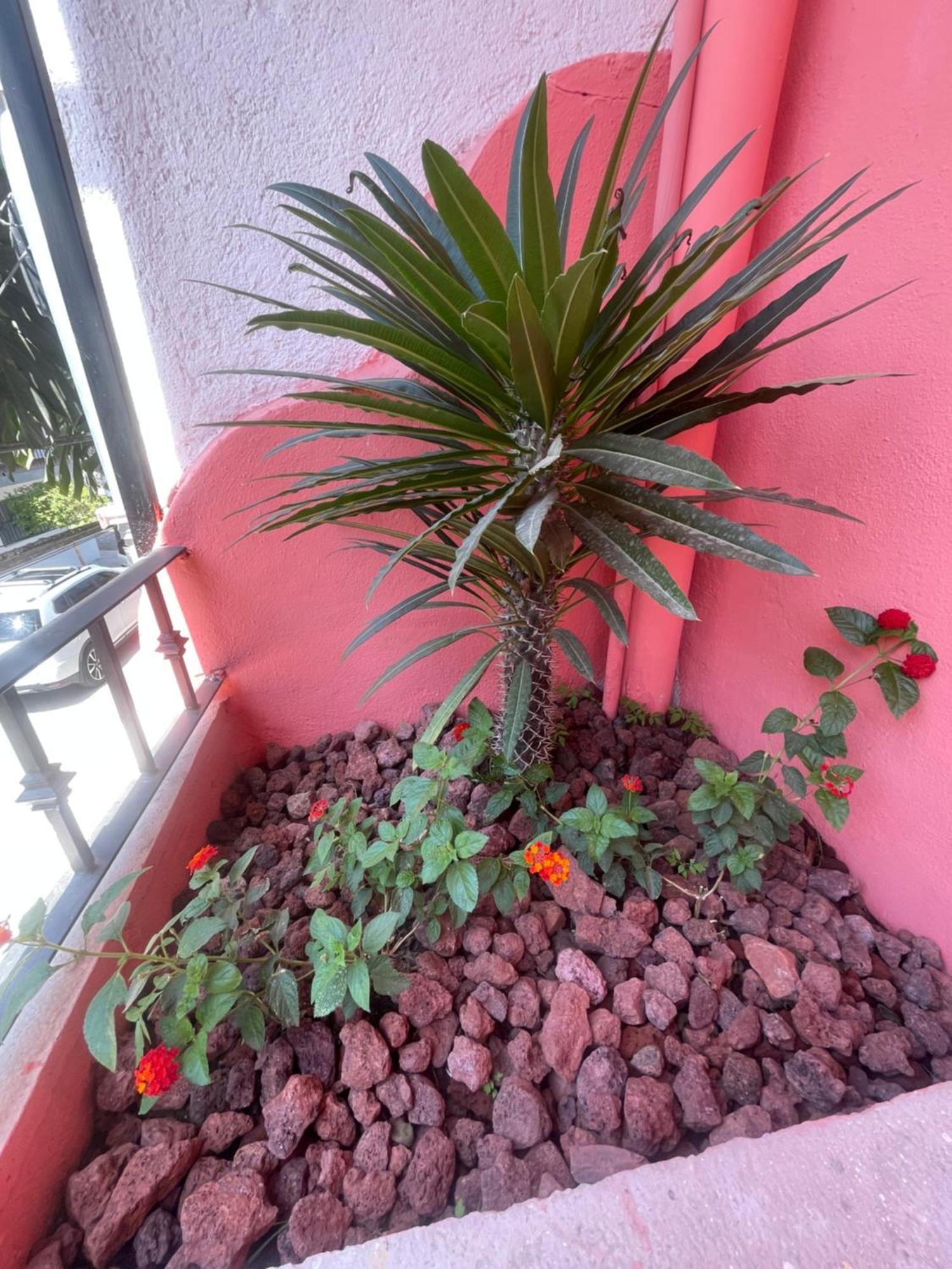 Apartamento Spanish Moon Pv *